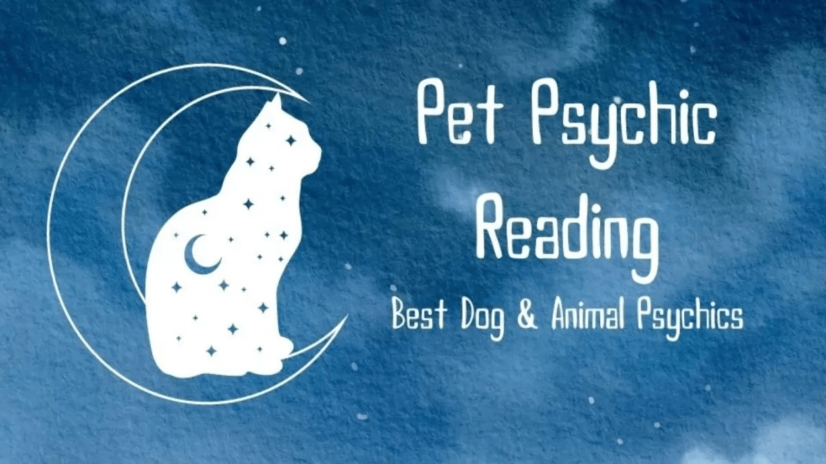 Pet Psychic Reading: Best Dog & Cat Psychics